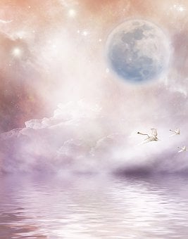 Awaken the Heart + 10 week guided journey