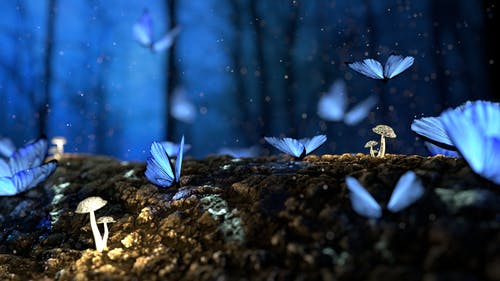 Tree Magic  - Kids Meditation for Relaxation